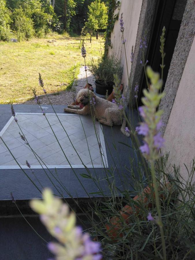 شقة Lucha Apartman Rijeka Crnojevića المظهر الخارجي الصورة